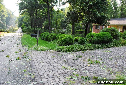 Another view of the backyard, showing the aftermath of the storm