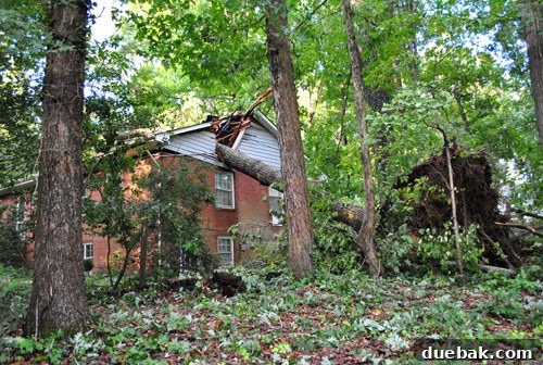 Another perspective of the tree damage to a house, showing significant impact