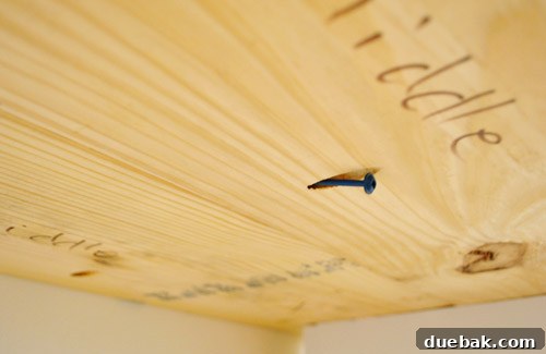 Pocket holes for joining wood planks