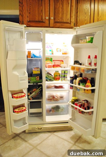 Our Secret to a Fully Stocked Frugal Fridge 16 The top shelf of a fully stocked and organized refrigerator, showcasing a variety of fresh groceries.