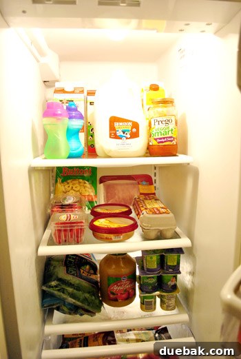 Our Secret to a Fully Stocked Frugal Fridge 17 A clean and well-organized middle shelf of a refrigerator, filled with neatly arranged food items.