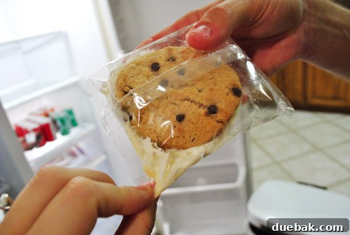 Our Secret to a Fully Stocked Frugal Fridge 5 Melted and spoiled ice cream sandwiches, a visual representation of food loss during a power outage.