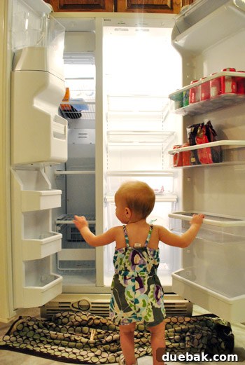 Our Secret to a Fully Stocked Frugal Fridge 9 An empty, sparkling clean refrigerator, ready for restocking after a thorough cleanup.