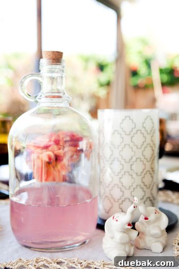 Whimsical ceramic animal decor next to a large jug of pink lemonade on Jaime's outdoor table.