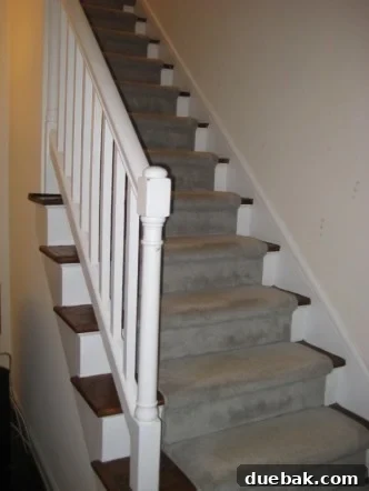 Before Staircase: Carpeted stairs in a Washington D.C. townhouse
