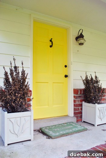 Dying porch plants in a wooden planter