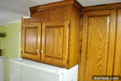 Existing kitchen cabinetry with the refrigerator in place