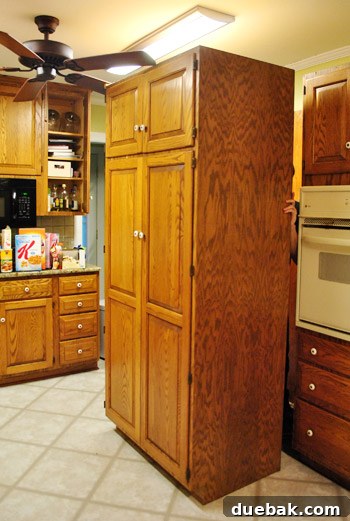 Revolutionize Your Kitchen: Smart Cabinet and Appliance Relocation 11 Moving pantry cabinet out of its original spot