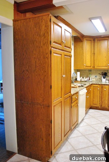 Revolutionize Your Kitchen: Smart Cabinet and Appliance Relocation 17 Relocated pantry flush with cabinets, improved aesthetic