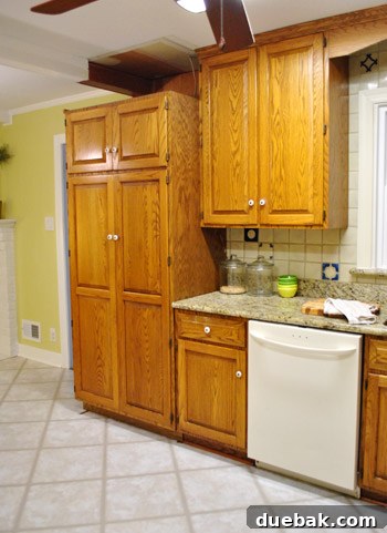 Revolutionize Your Kitchen: Smart Cabinet and Appliance Relocation 19 Kitchen view showing new pantry location and adjacent cabinet