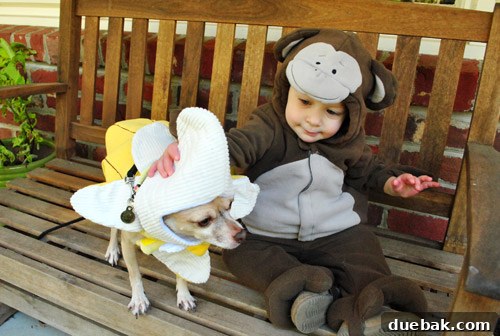 Child dressed as a monkey for Halloween