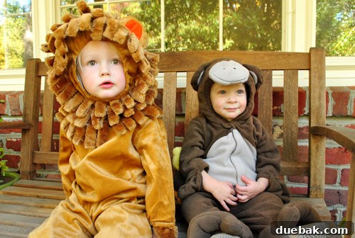 Young child in a lion Halloween costume, holding candy corn