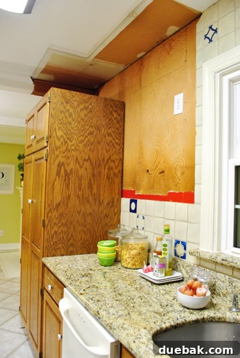 Updated kitchen view after electrical, with new fridge and oven