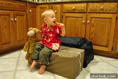 Clara and her teddy bear 'Gee' packed for a road trip