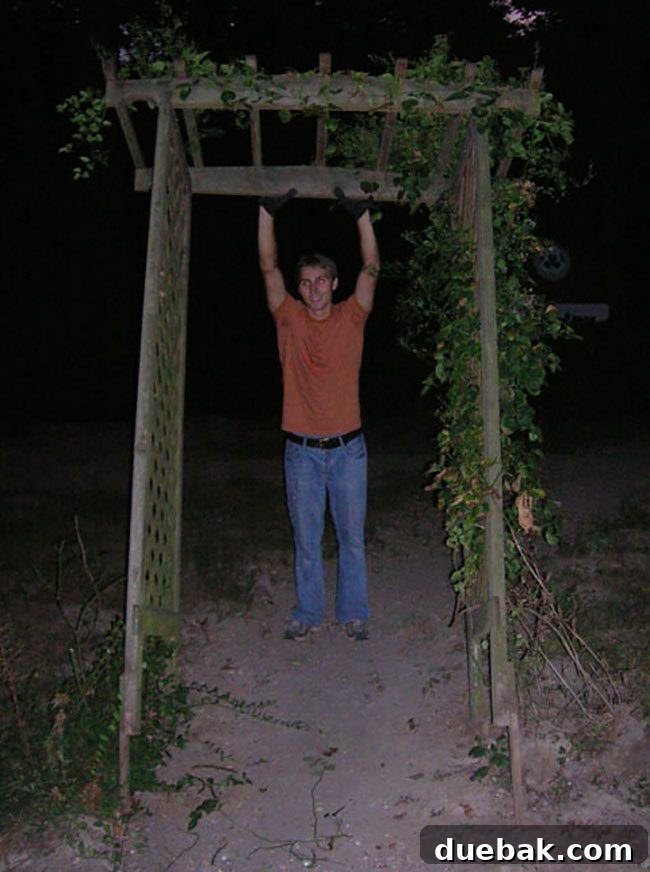 Relocating a decorative garden arch to a new spot in the backyard