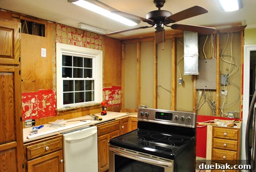 Large section of plywood removed from kitchen wall