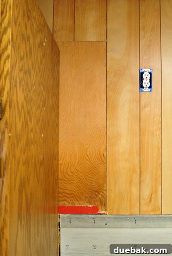 Pantry area with paneling and a strategic shortcut