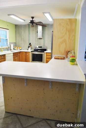 Vertical shot of the kitchen showing the new Corian countertops and an empty sink, ready for full use.