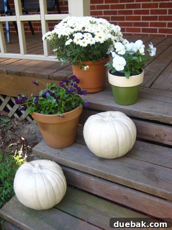 After: Cream-white painted faux pumpkins on a porch, styled.