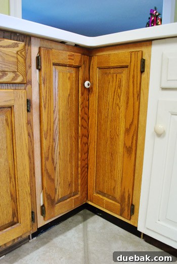Two separate doors installed on the corner cabinet, hinged on opposite sides.