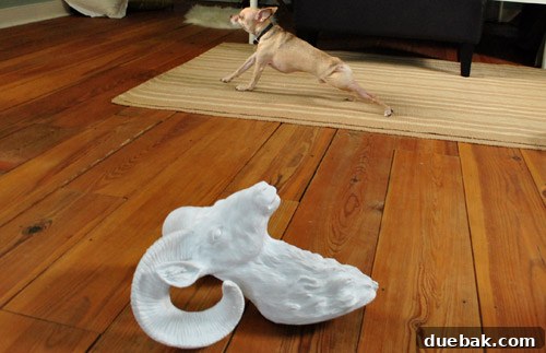 February's Finest 5 Funny dog yoga behind resin ram decor