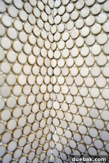 An even closer detail shot of the penny tile corner before grouting