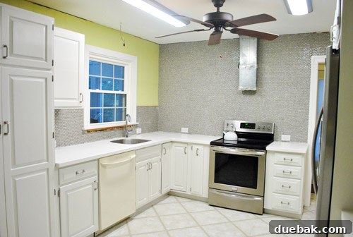 Kitchen wall showing a closer view of the penny tiles and existing fixtures