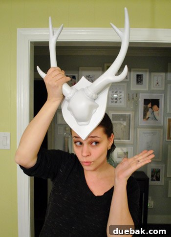 Completing Your Home's Loose Ends 11 Playful image of the white faux deer head used as a 'fascinator'
