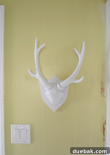 Completing Your Home's Loose Ends 5 Newly painted white faux deer head hanging proudly in a kitchen