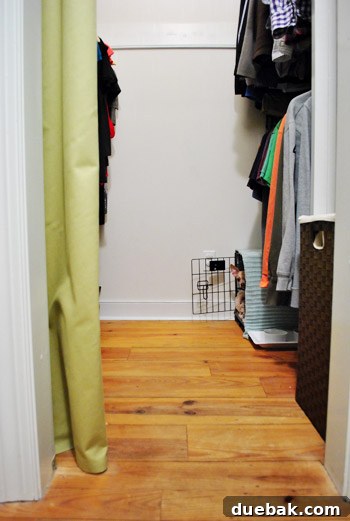 Burger peeks out from his crate in the closet, enjoying his new private space.