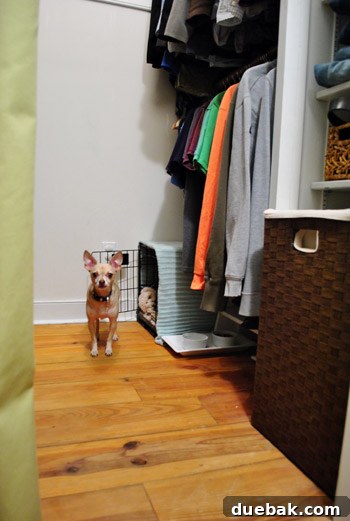 Burger's food and water bowls are neatly placed next to his crate within the closet.