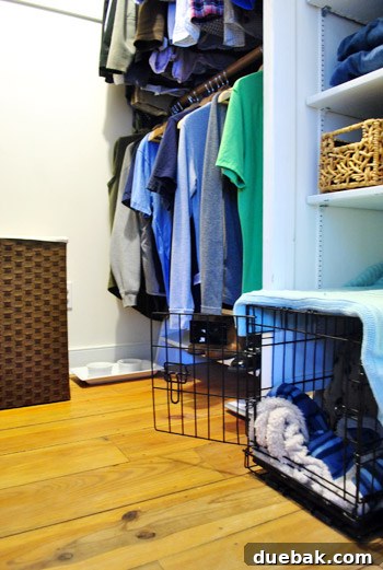 Burger the chihuahua's crate and food/water bowls are now situated in the closet, requiring space adjustments.