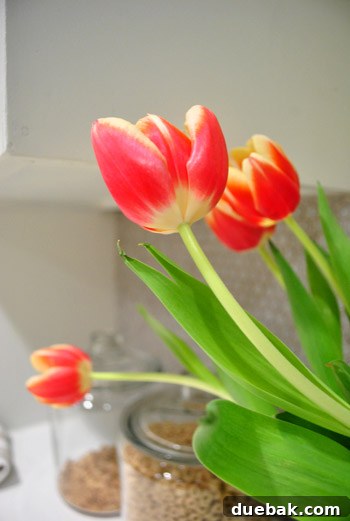 Tulips in a seeded glass hurricane, repurposed from a candle holder, next to a vintage-style kitchen radio on a wooden counter.