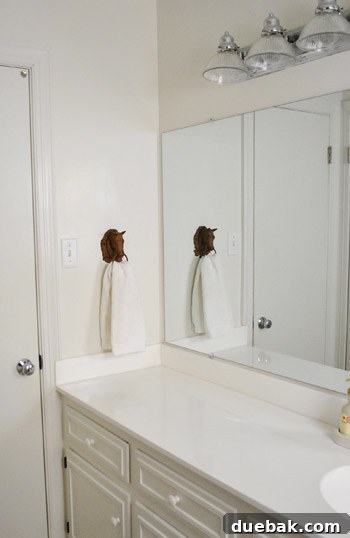 A wider shot of the iron horse towel hook and the hand towel in the hall bathroom.