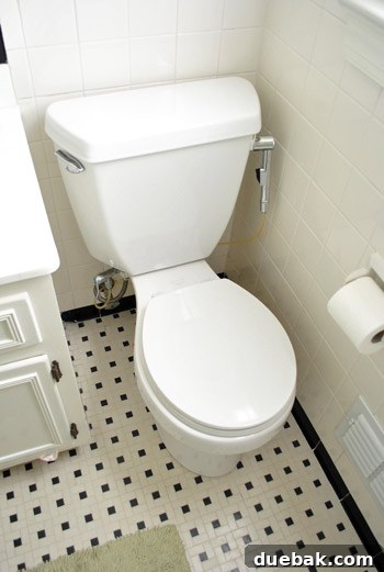Rock-Solid Toilet: Easy DIY Fix 2 Toilet in hall bathroom with cloth diaper sprayer attachment