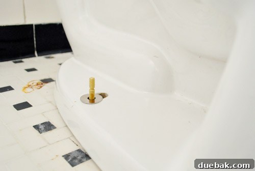 Rock-Solid Toilet: Easy DIY Fix 21 New bolts installed under toilet to fix rocking toilet bowl