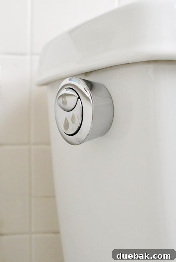Rock-Solid Toilet: Easy DIY Fix 28 Dual flush button on the side of toilet tank