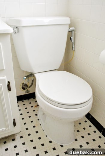 Rock-Solid Toilet: Easy DIY Fix 30 Final fixed toilet with fresh wax ring and dual flush button