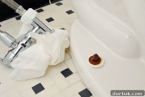Rock-Solid Toilet: Easy DIY Fix 10 Rusty screw on base of toilet bowl causing toilet to rock