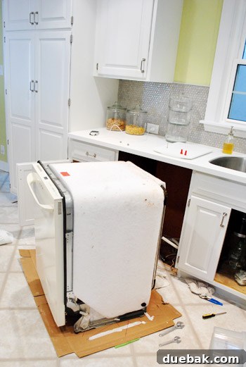 Old bisque dishwasher pulled out on cardboard