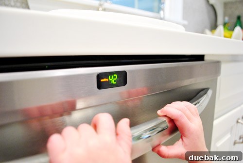 Dishwasher control panel with timer