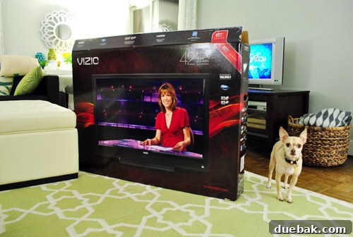 Elevate Your Entertainment 6 Dog looking at the new TV's initial screen displaying a news anchor
