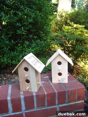 Before renovation: two cheap, rickety birdhouses with woven roofs