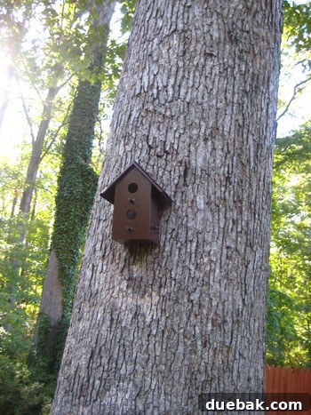 Close-up of a renovated birdhouse, showing the new roof and painted finish