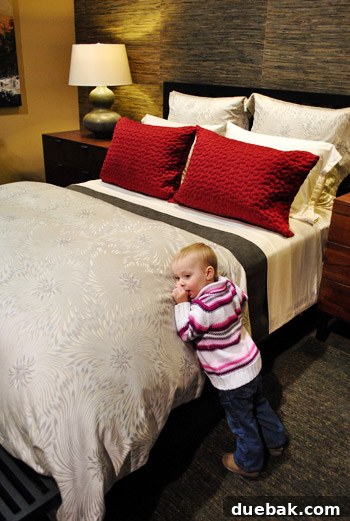 Clara resting comfortably on a bed display inside the Smart Home