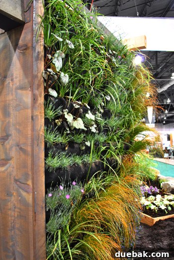 Stunning living wall display from Seventh Wonder Gardens at the Portland Home & Garden Show