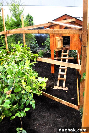Charming display chicken coop at the Home & Garden Show, inspiring urban farming dreams