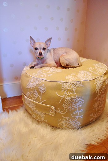 Accidental pattern alignment on beanbag