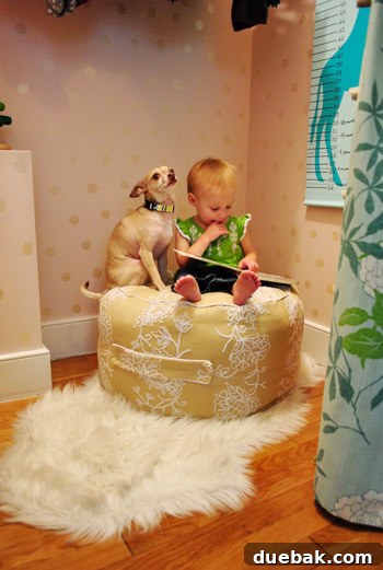Toddler reading to chihuahua on beanbag
