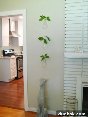 Sculptural Wall Vases 2 Elegant floating teardrop vases from CB2, holding fresh blooms, hanging in a guest bathroom.